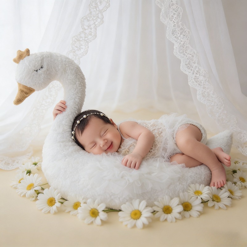 Photography Outfits - ชุดอุปกรณ์ประกอบฉากถ่ายภาพทารกแรกเกิด ชุดลูกไม้ลายหงส์ สำหรับถ่ายภาพเด็ก 100 วัน ชุดถ่ายภาพในสตูดิโอ