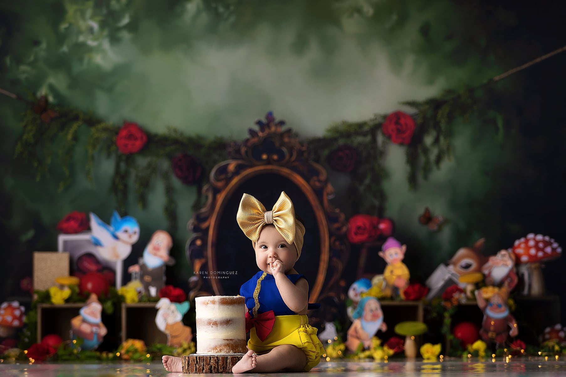 เจ้าหญิงป่าฉากหลังเค้ก Smash เ - Photography Trick บทวิจารณ์และราคา